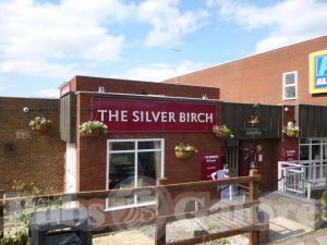 Picture of The Silver Birch