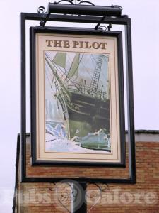 Picture of The Pilot