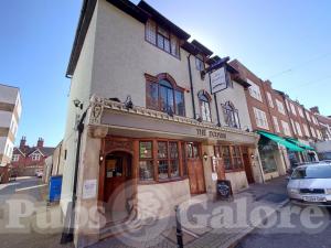 Picture of The Dolphin