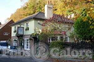 Picture of The Snowdrop Inn