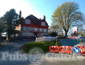 Picture of Hollington Oak