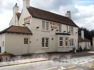 Picture of White Hart