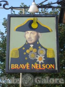 Picture of The Brave Nelson