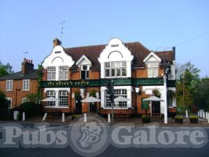 Picture of Horse & Groom