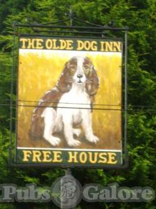 Picture of The Olde Dog Inn