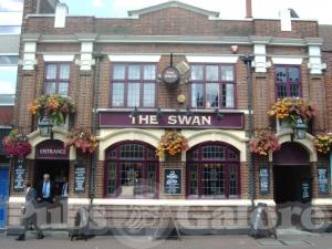 Picture of The Swan