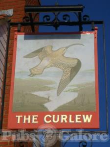 Picture of The Curlew