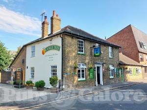 Picture of The Orange Tree