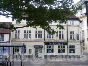 Picture of The Golden Fleece