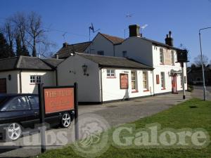 Tulip Springfield The Tulip in Springfield (near Chelmsford) : Pubs Galore