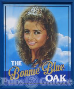 Picture of The Bonnie Blue Oak