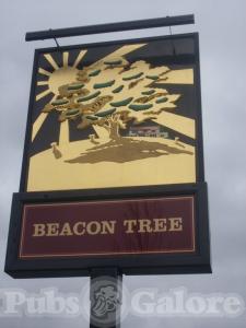 Picture of The Beacon Tree