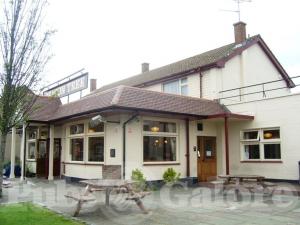 Picture of The Beacon Tree