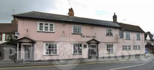 Picture of The Dog Inn