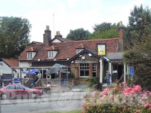 Picture of The Greyhound