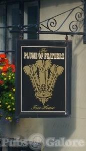 Picture of Plume Of Feathers