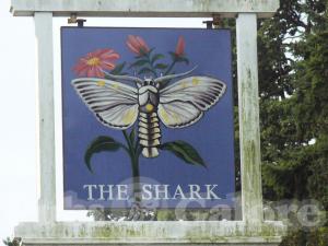 Picture of The Shark