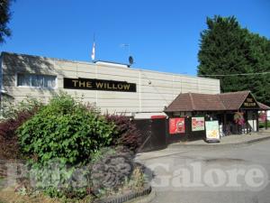 Picture of The Willow