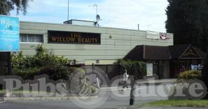 Picture of The Willow