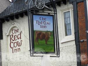 Picture of Red Cow