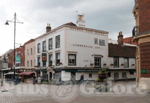 Picture of The Golden Lion