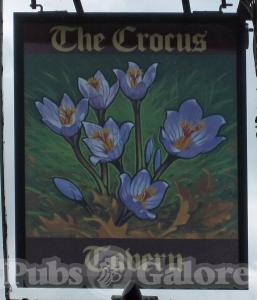 Picture of The Crocus