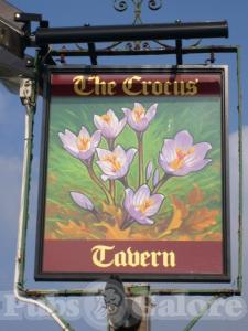 Picture of The Crocus