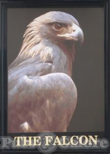 Picture of The Falcon