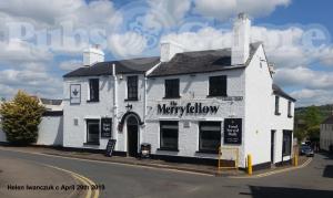 Picture of The Merryfellow