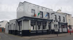 Picture of Shamrock
