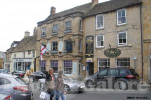 Picture of Talbot