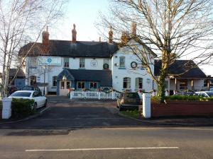 Picture of Wagon and Horses