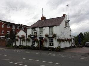 Picture of The White Bear