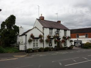 Picture of The White Bear