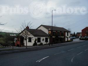 Picture of The Rose Of Lancaster