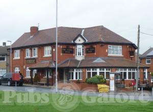 Picture of Turks Head