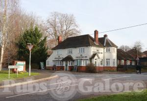 Picture of The Cricketers