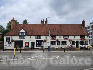 Picture of White Horse