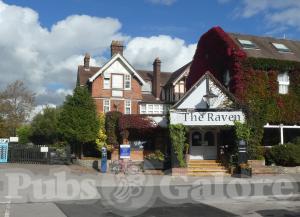 Picture of The Raven