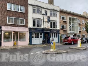 Picture of The Dolphin