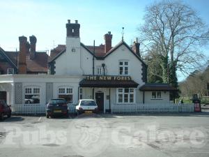 Picture of New Forest Hotel