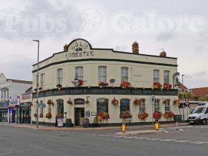 Picture of The Bold Forester