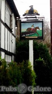 Picture of The Chestnut Horse