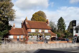 Picture of The Golden Lion