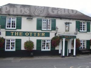 Picture of The Otter