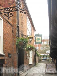 Picture of Royal Oak