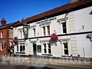 Picture of The Mucky Duck