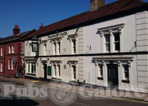 Picture of The Mucky Duck