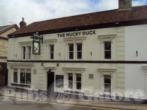 Picture of The Mucky Duck