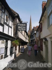 Picture of Prince of Wales
